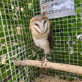 いきものふれあい学校 松山店の写真5