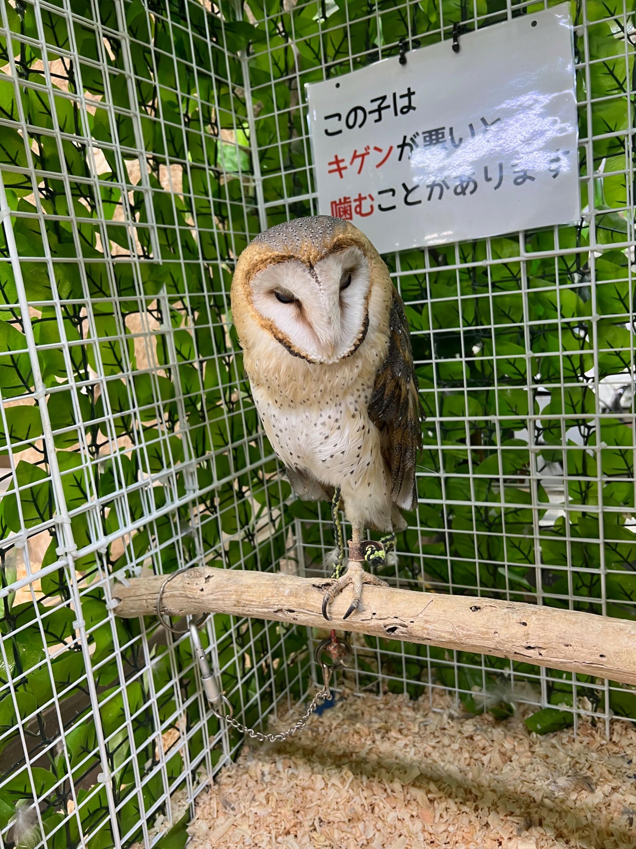 いきものふれあい学校 松山店の代表写真5