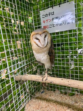 いきものふれあい学校 松山店のクチコミ写真1