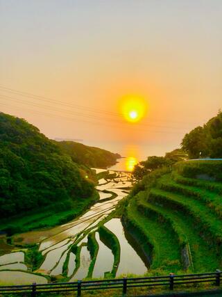 浜野浦の棚田展望台のクチコミ写真1