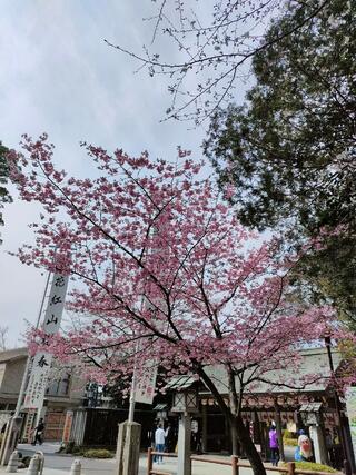 櫻木神社のクチコミ写真2
