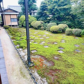 東福寺のクチコミ写真3
