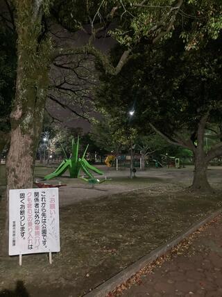 宮崎中央公園のクチコミ写真2