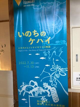鉢&田島征三絵本と木の実の美術館のクチコミ写真3