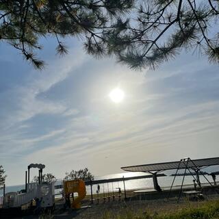 県立公園ヤ・シィパークの写真29