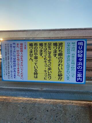 琴ケ浜海水浴場のクチコミ写真2