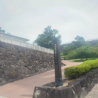 舞鶴城公園の写真25