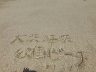 大浜海浜公園のクチコミ写真2