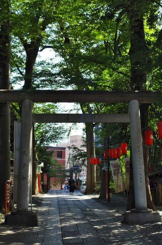 田無神社のクチコミ写真10