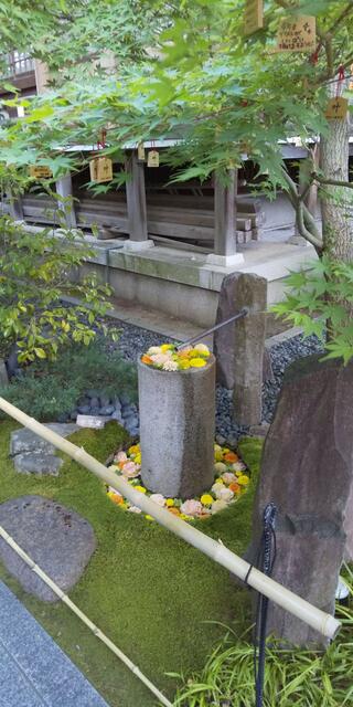 行田八幡神社のクチコミ写真10
