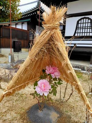 當麻寺 奥院のクチコミ写真1