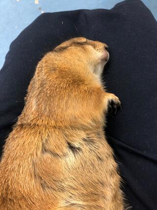 いきものふれあい学校 松山店のクチコミ写真1