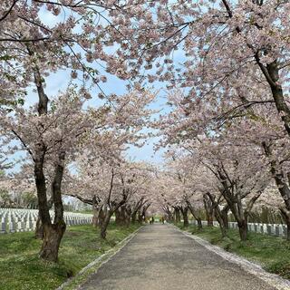 戸田記念墓地公園の写真17