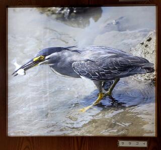 弥富野鳥園のクチコミ写真1