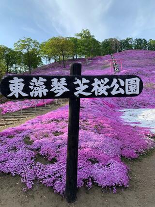 ひがしもこと芝桜公園のクチコミ写真3