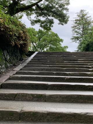 高知城のクチコミ写真4