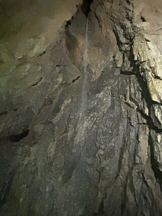 大滝鍾乳洞のクチコミ写真2