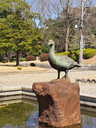 弥富野鳥園のクチコミ写真3
