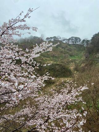 春日山城跡のクチコミ写真2
