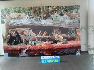 熊本市動植物園のクチコミ写真1
