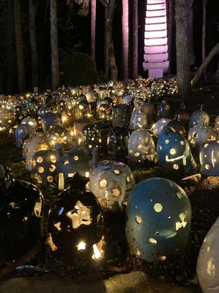 福井県陶芸館のクチコミ写真1