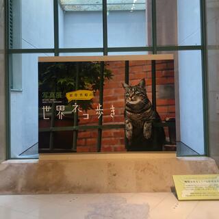 鳥取市歴史博物館やまびこ館のクチコミ写真1