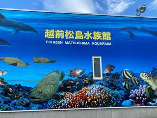 越前松島水族館のクチコミ写真8
