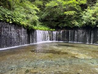 白糸の滝のクチコミ写真1