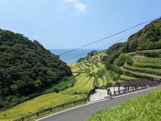 浜野浦の棚田展望台のクチコミ写真1