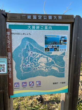 大房岬自然公園のクチコミ写真3