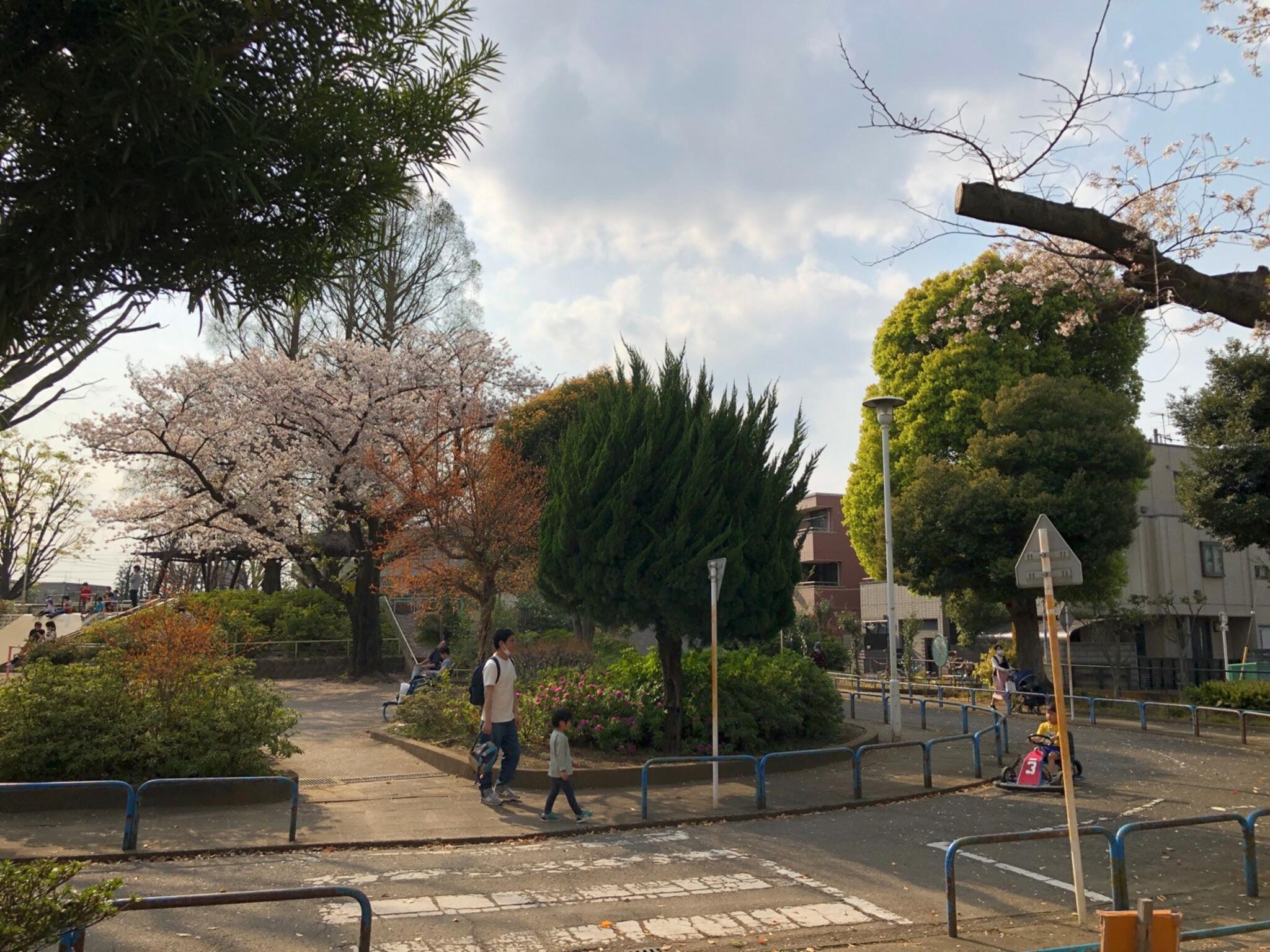 板橋公園(板橋交通公園)の代表写真4