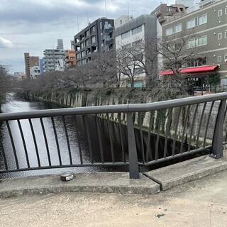 なかめ公園橋の写真18