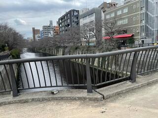 なかめ公園橋のクチコミ写真1
