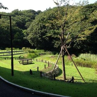 久良岐公園の写真29