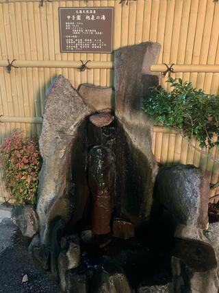浜田温泉 甲子園旭泉の湯のクチコミ写真3
