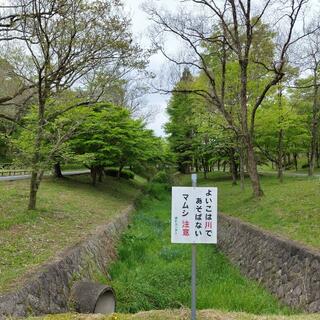 愛知県緑化センター・昭和の森の写真14