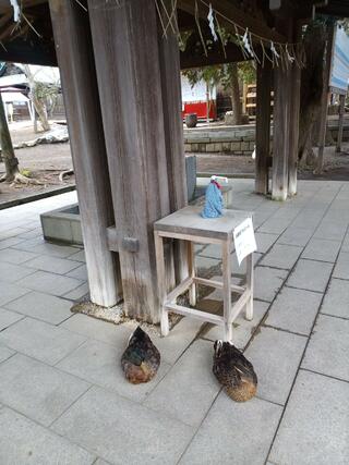 平塚八幡宮のクチコミ写真2