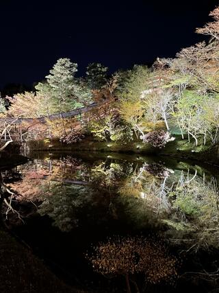 鷲峰山高台寺のクチコミ写真3