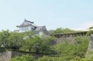 津山城(鶴山公園)のクチコミ写真1