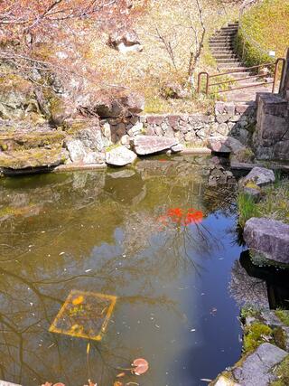 京都市洛西竹林公園のクチコミ写真1