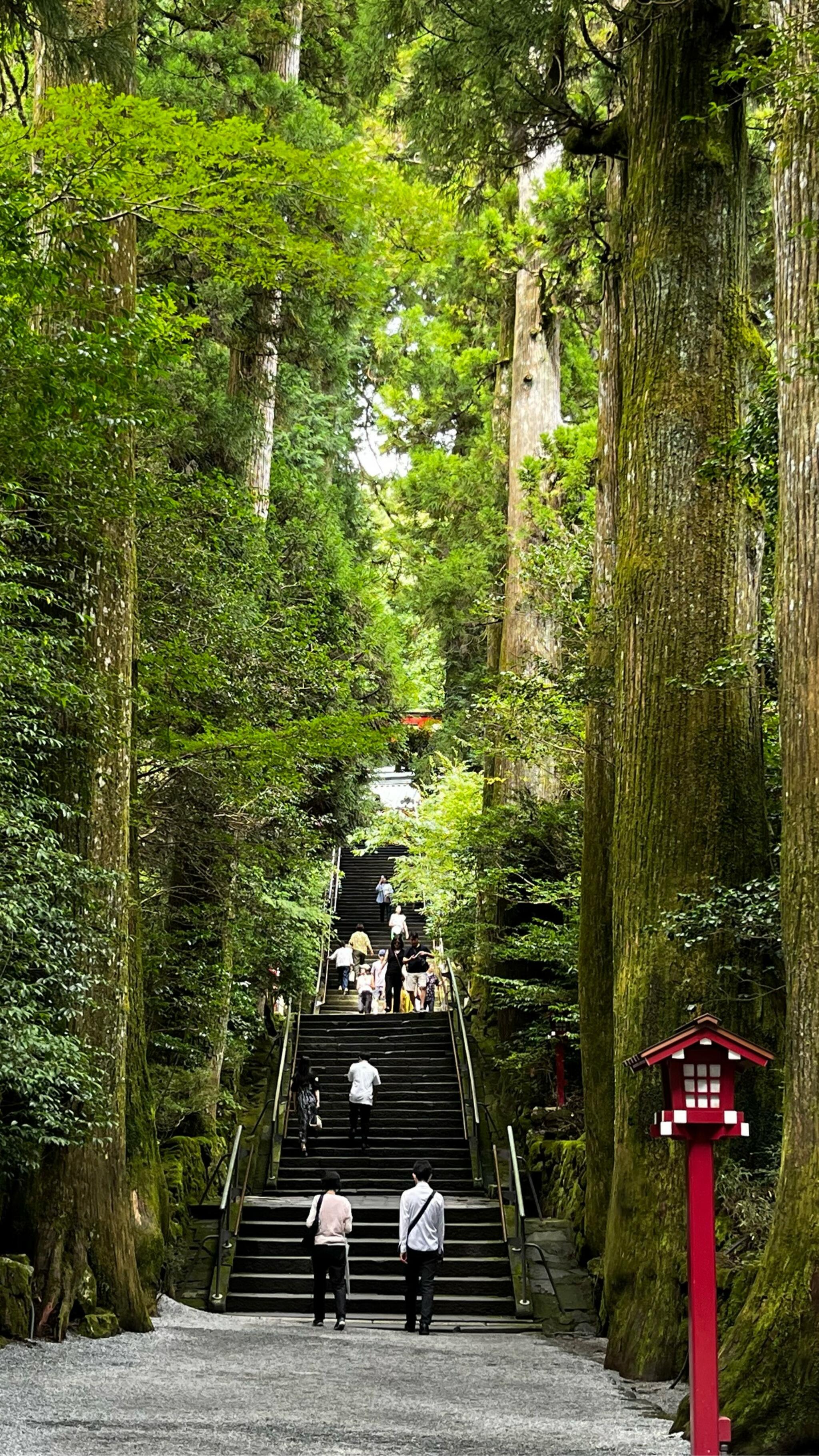 箱根神社の代表写真4