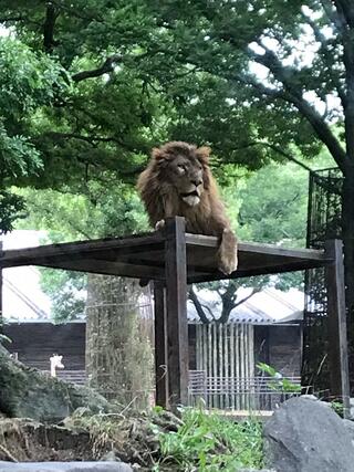 愛媛県立とべ動物園のクチコミ写真1