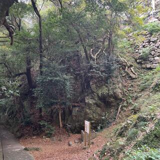岐阜城のクチコミ写真6