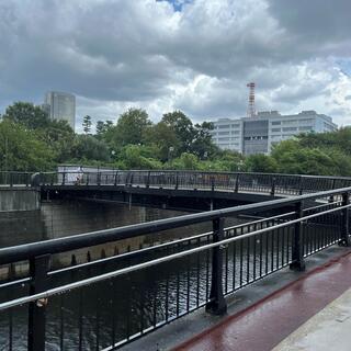 なかめ公園橋の写真11