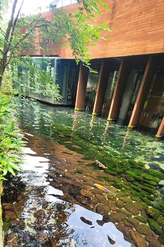 森の中の水族館。山梨県立富士湧水の里水族館のクチコミ写真6
