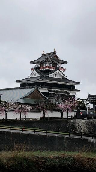 清洲公園のクチコミ写真2