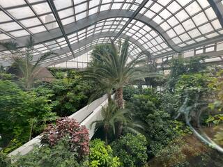 板橋区立熱帯環境植物館のクチコミ写真5