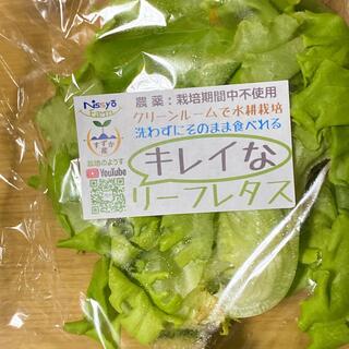 ふるさと館の写真29