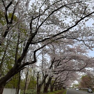 戸田記念墓地公園の写真10