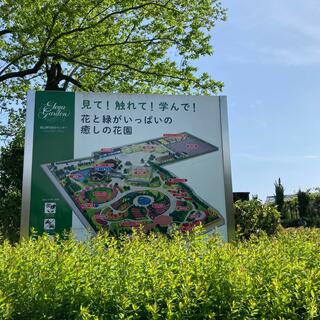富山県花総合センターの写真18